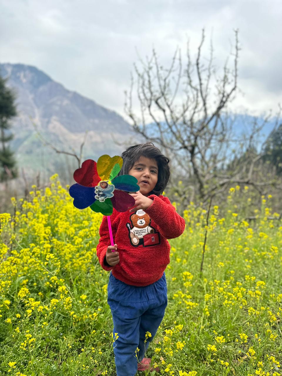 Joy in the mustard fields