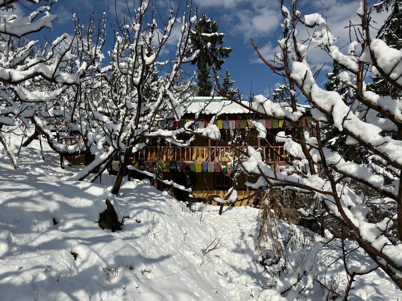 Modern Mantra in Deep Snow