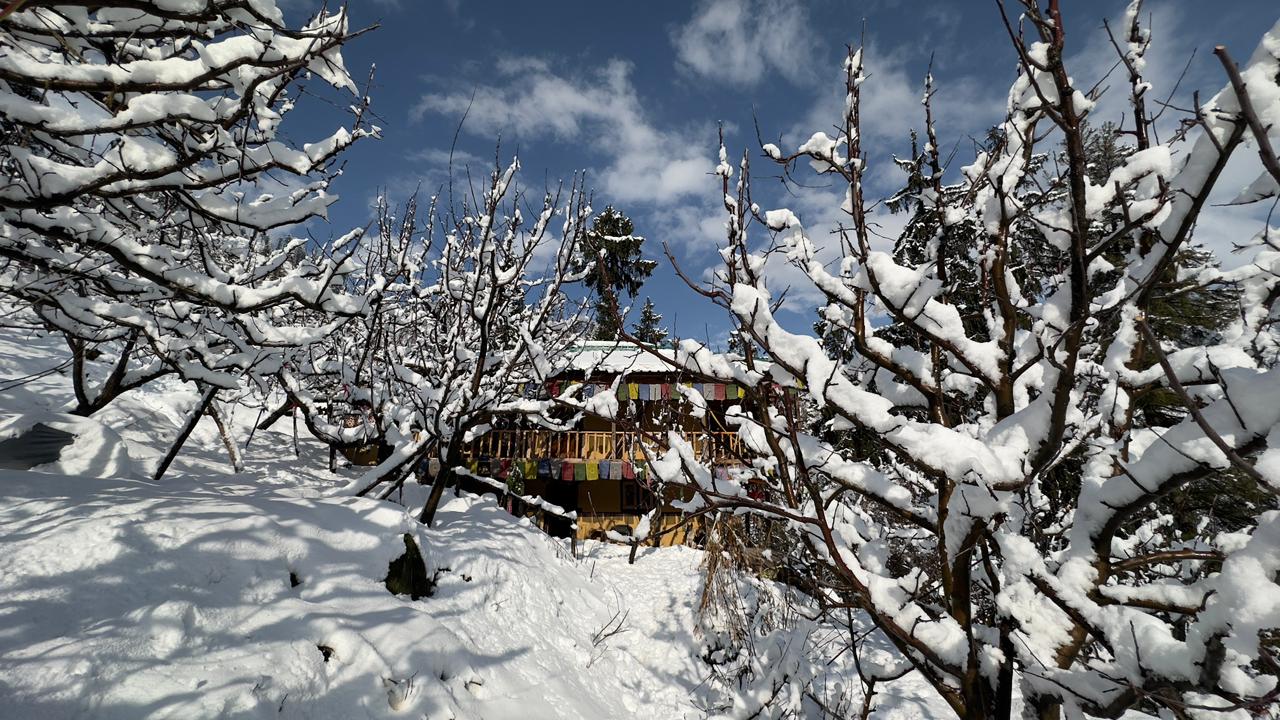 Prayer Flags in Winter